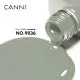 Canni HEMA FREE Gray Green 9036 9ml