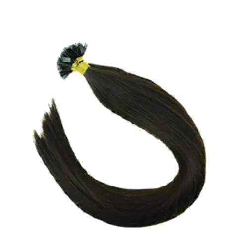 Hair Extension Lousios 60cm #2