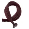 Hair Extension Lousios 60cm #99j