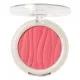 Mua Blushed Matte Blush Powder Rouge Punch 5gr