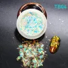 Moonlight Foil Nail Powder TB04
