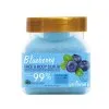 Scrub Προσώπου & Σώματος Blueberry 500g