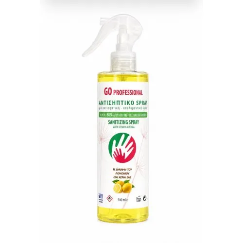 GO PROFESSIONAL Αντισηπτικό Spray 300ml