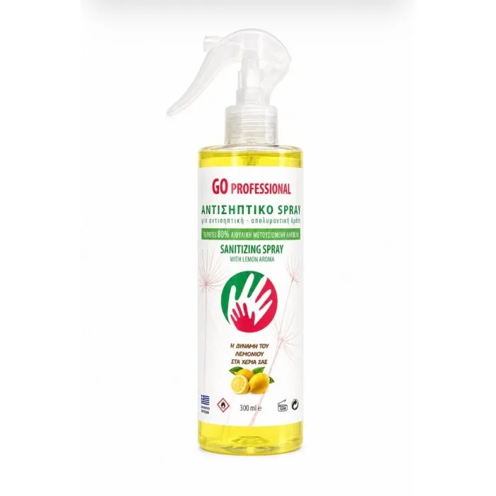 GO PROFESSIONAL Αντισηπτικό Spray 300ml