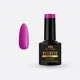 Ημιμόνιμα Βερνίκια Woww + 1 Spider Gel 5ml + 1 Soft Gel Tips 240 τεμάχια